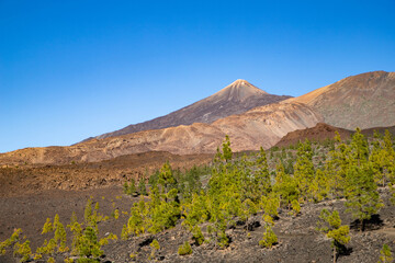 amazing landscape in El Teide national park
