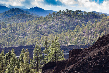 Fototapeta na wymiar amazing landscape in El Teide national park