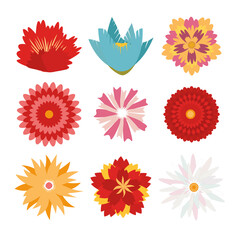 Flower head vector icon set, nature plants summer flat design, colorful different flower isolated on white, floral