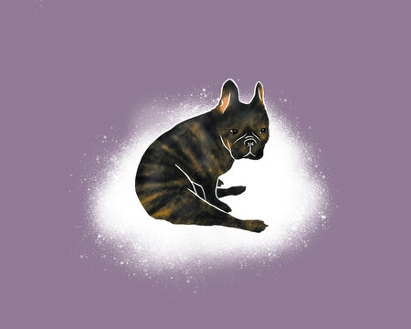 Sitting French Bulldog On Cloud