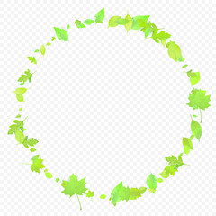 Leaves Falling Spring Flying Foliage Green Leaf