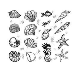 Set of sea creatures, hand-drawn in sketch style. Shells, seaweed, fish, starfish and seahorse. Summer greeting card.