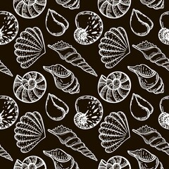 Seamless, hand-drawn sea creatures in sketch style. Silhouettes of sea shells. Black background. Isolated. Summer. Ocean. Flat design. Vector illustration.