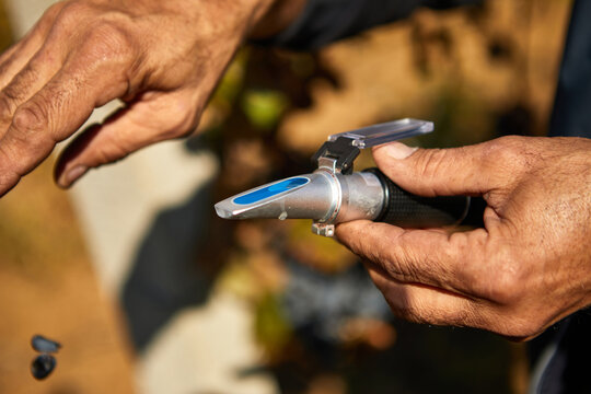 Refractometer in the hands of a man on a vineyard