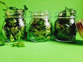 fresh parsley preserved in glass jars