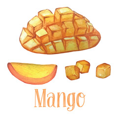 Watercolor painting of fresh mango isolated on white background