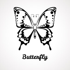 Butterfly design hand drawn. Contour icon. Vector illustration.