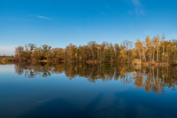 Fototapeta na wymiar Pond with colorful trees around during autumn day with clear sky