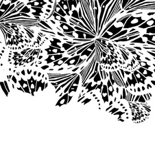 butterfly black and white abstract background