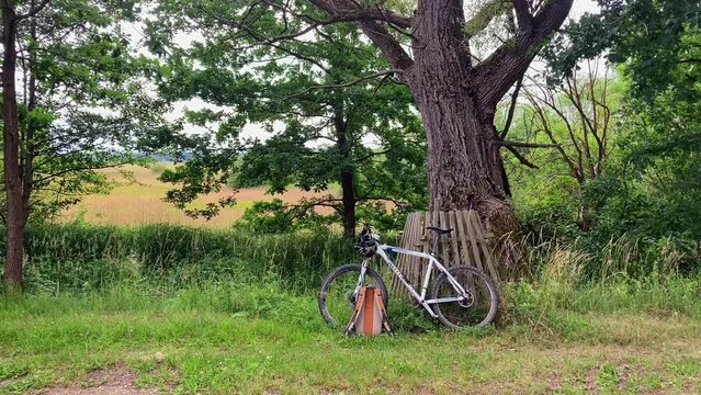 Sports mountain bike standing in nature. The biker took a break. Old oak in the background.