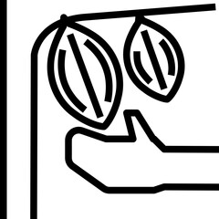 Cocoa harvesting icon in the modern line style