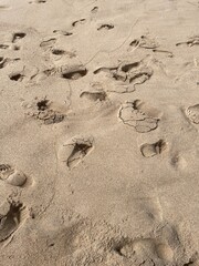 Footprint on the yellow sand beach.