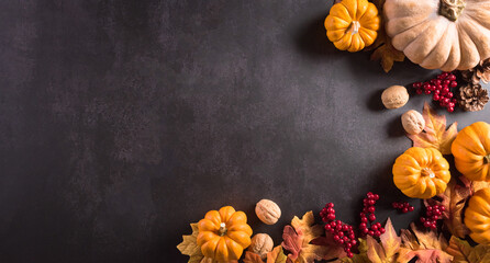 Autumn composition. Pumpkin, cotton flowers and autumn leaves on dark stone background. Flat lay,...