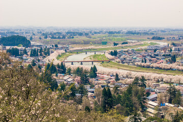 Fototapeta na wymiar Akita,Tohoku,Japan:Panoramic view of Kakunodate town and the Hinokinaigawa River during cherry blossom festival as seen from the former site of Kakunodate Castle on the hilltop.