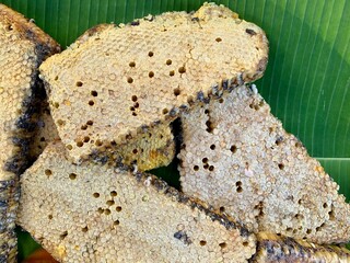 Sliced Honeycomb With Bee Larva Selling On market.