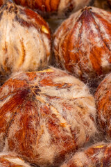 Close-up of Some Un-shell Chestnuts	