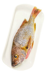 A Dish of Fish On The white Background
