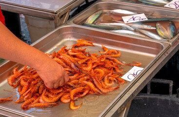 fish market in city , lifestyle of a marine port worker closeup