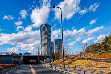 二子玉川駅近くの多摩堤通り道路灯（東京都世田谷区）