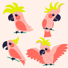 Fototapeta premium Set of cartoon parrots. Vector illustration.