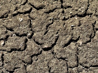 cracked soil background