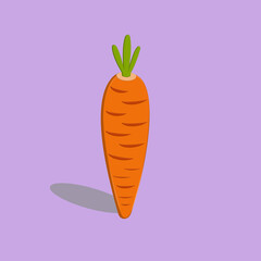 Carrot icon vector cartoon illustration best for your picture decoration. Daucus carota L