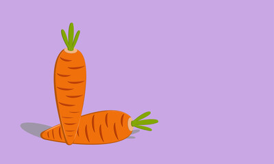 Carrot icon vector cartoon illustration best for your picture decoration. Daucus carota L