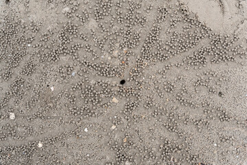 Pattern made by crabs on the Labuan beach, Malaysia