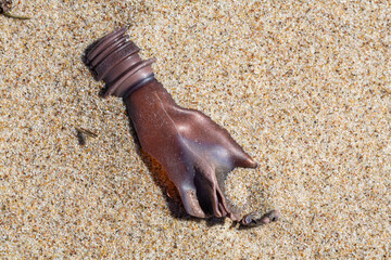 Alien Object on the Beach 2