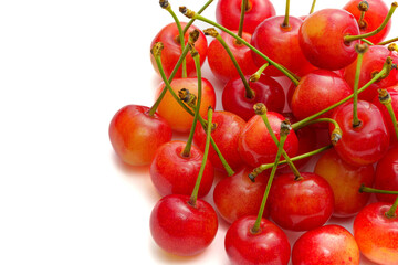 さくらんぼ （山形県産 佐藤錦）