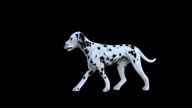 
Dalmatian Walk animation.Full HD 1920×1080.7 Second Long.Transparent Alpha video.LOOP.