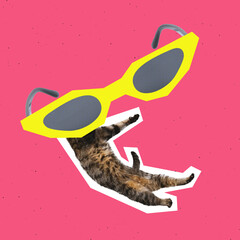 Contemporary art collage. Creative colorful design, poster. Domestic cat with giant retro glasses...