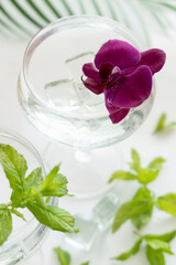 Obraz na płótnie Canvas Transparent cocktail in a glass decorated with purple orchid flowers and mint leaves close up