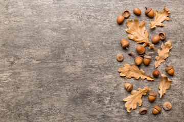 Branch with green oak tree leaves and acorns on colored background, close up top view