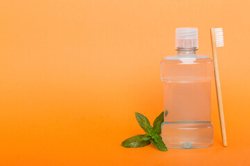 Mouthwash and fresh mint on colored background, top view with copy space for text