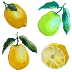 citrus fruits lemon and lime with foliage illustration