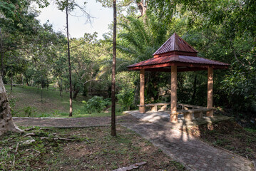 Fototapeta na wymiar Labuan Botanical Garden, Malaysia