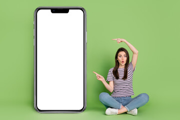 Portrait of beautiful amazed girly girl sitting showing copy space eshop offer web order app...