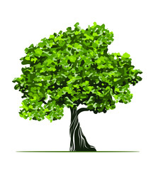 Obraz premium Shape of green Tree with Leaves. Vector outline Illustration. Plant in Garden.