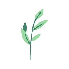 Organic shape of green plant, leaves. Modern trendy icon of foliage. Flat natural vector illustration with floral for advertisement, promotion