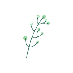 Organic shape of green plant, leaves. Modern trendy icon of foliage. Flat natural vector illustration with floral for advertisement, promotion