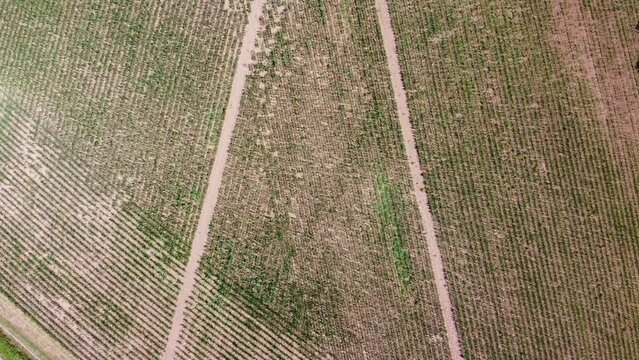 Traverses de tracteurs pour s'occuper des champs. Agriculture vue en drone.