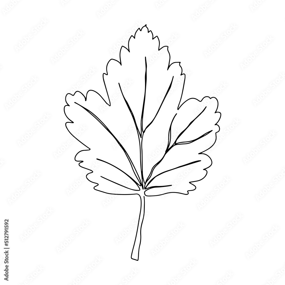 Wall mural vector autumn leaf continuous line drawing. autumn leaf one line style icon vector illustration desi