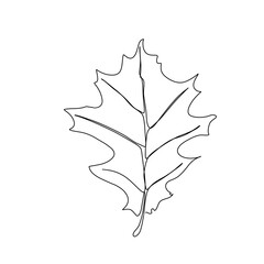 Fototapeta premium Autumn leaf continuous line drawing. Autumn leaf one line style icon