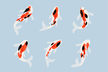 Koi carp illustration. Flat line vector illustration. 