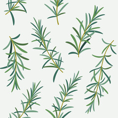 Branch of rosemary. Trendy pattern with twig. Contour vector detail illustration.