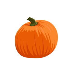 Orange pumpkin vector illustration in cartoon style. Pumpkin for thanksgiving on white background. Autumn fruit. Harvest. Isolated.