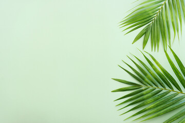 Fototapeta premium Image of tropical green palm over pastel background