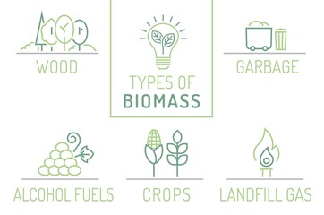 Types of biomass. Landscape poster. Vector illustration