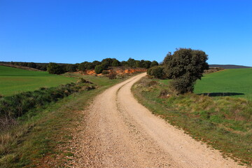 Camino